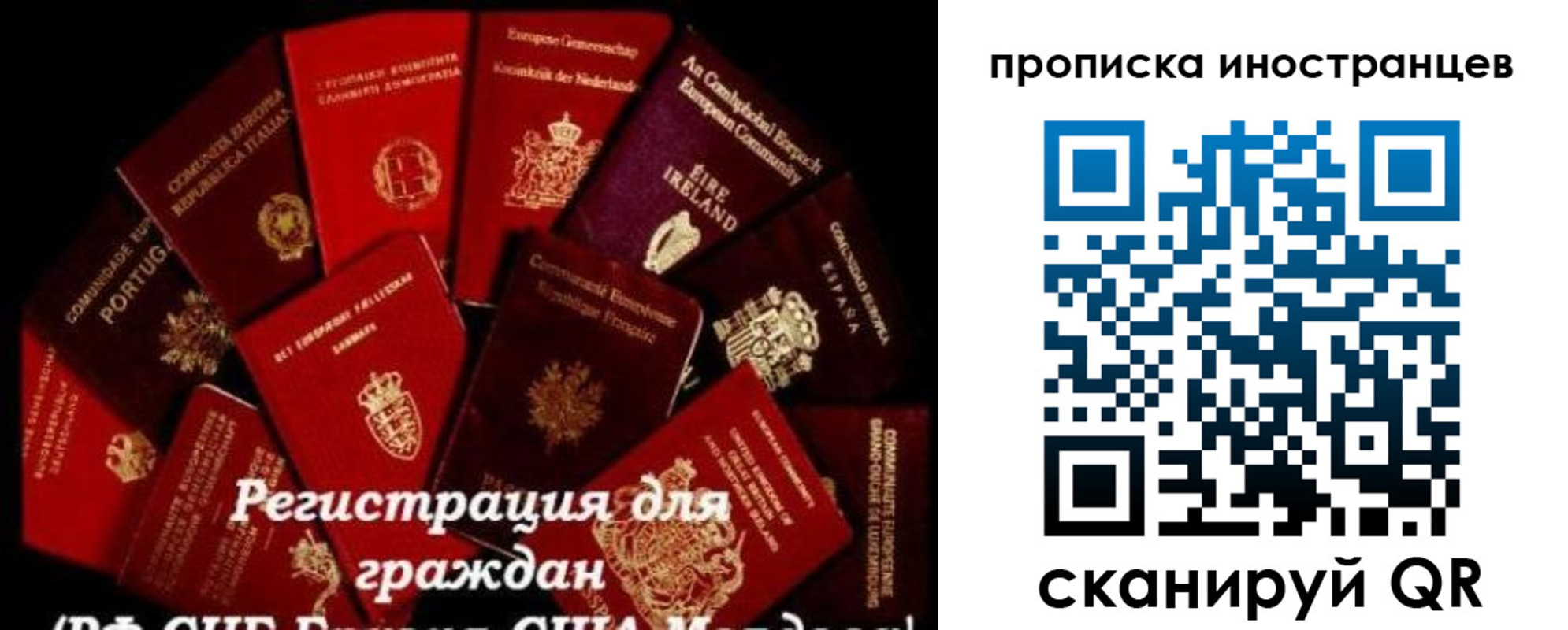 временная регистрация 2025 в Стародубе