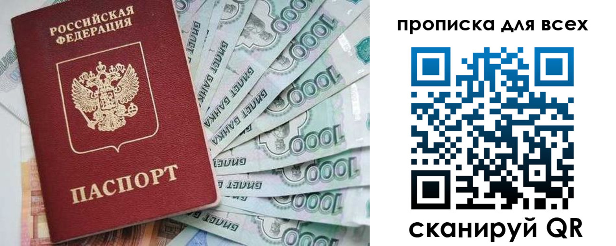 прописка гарантия в Стародубе
